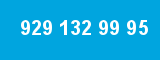 929 132 99 95